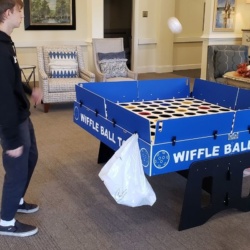 Wiffle Ball Game Rental