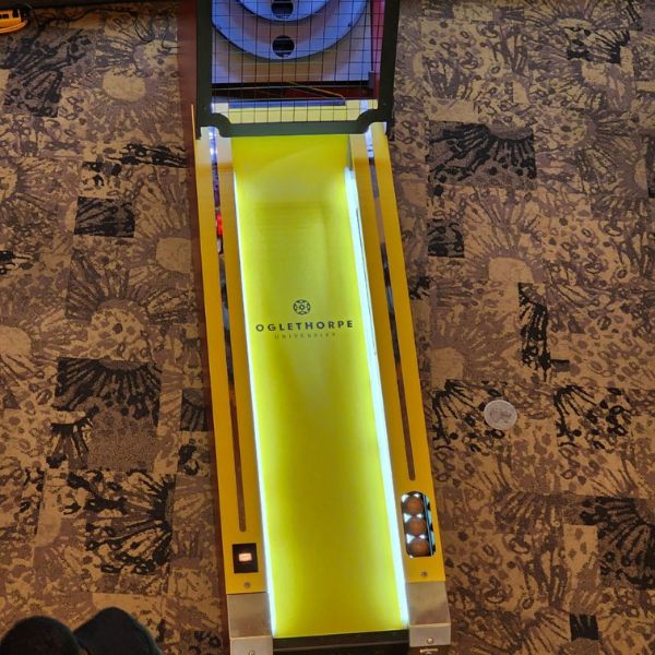 Custom Skee Ball Lane ONLY